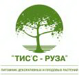 ТИСС - РУЗА